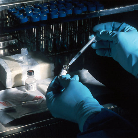 EXPLORE TRAFFI GLOVES FOR FOOD & PHARMA